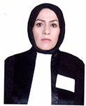 عکس وکیل فریده صادقی ینگی کند