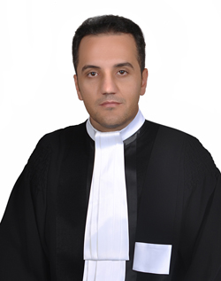 محمد مهدی نیا