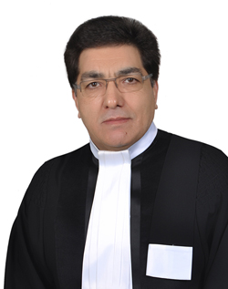 احمد رضا ذوالفقاری صادق