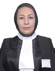 عکس وکیل ازاده بهرامی وزیر